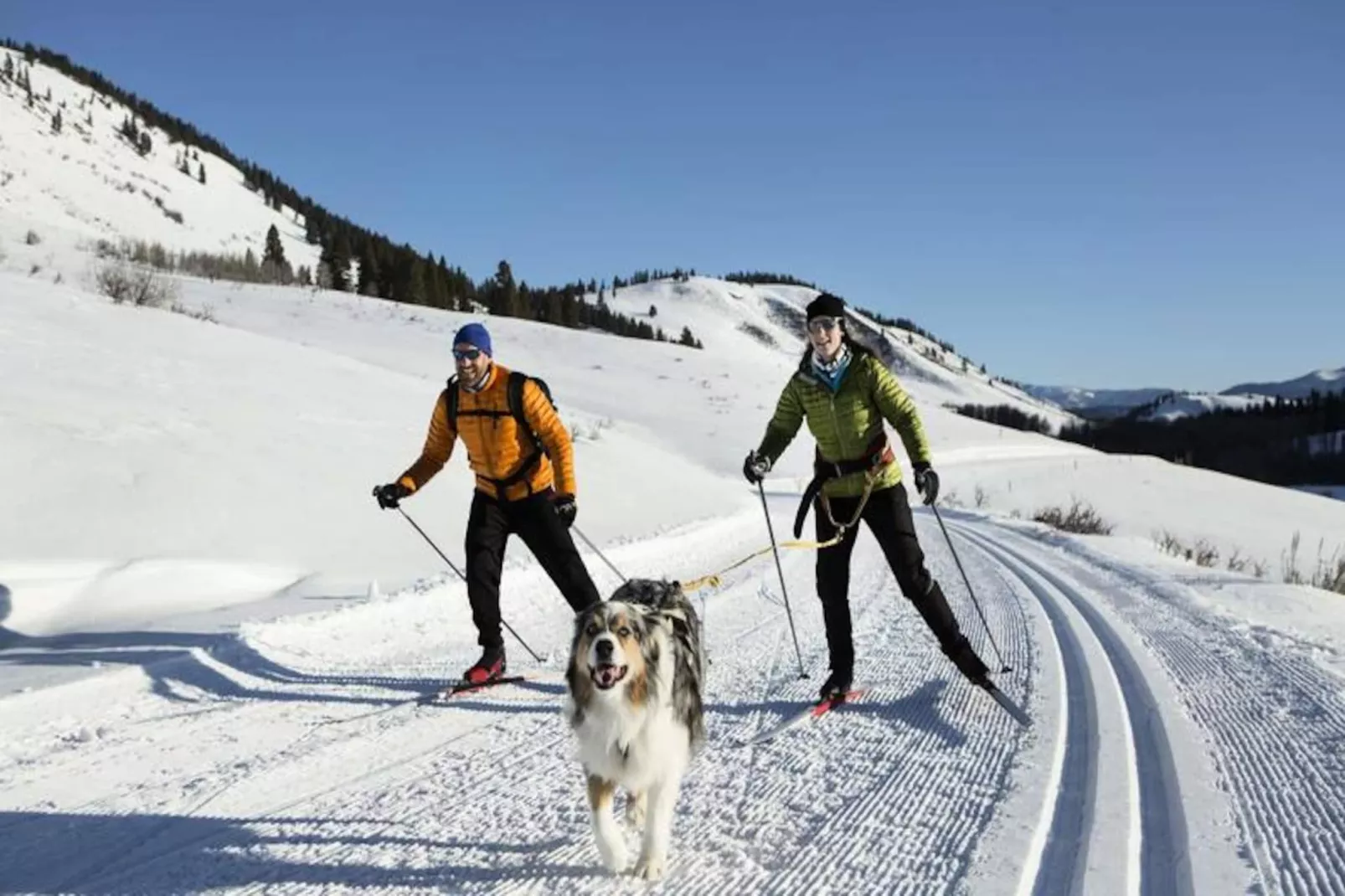 Chalet OrÉe Du Bois-Niet-getagd