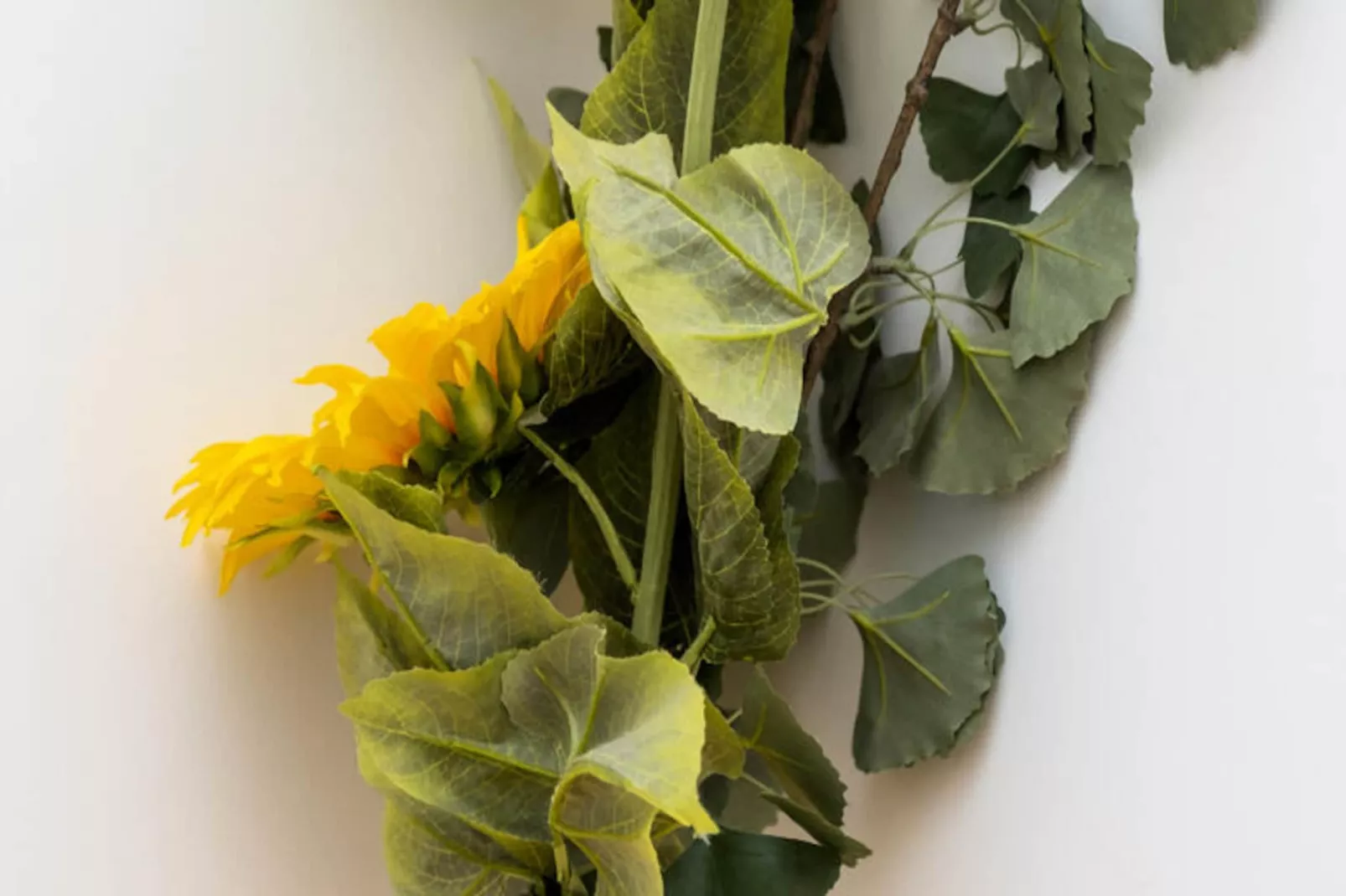 Appartements à Porto-Niet-getagd