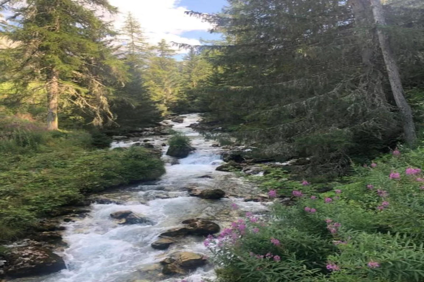 Chalets Les Amis 1-Gebieden zomer 20km