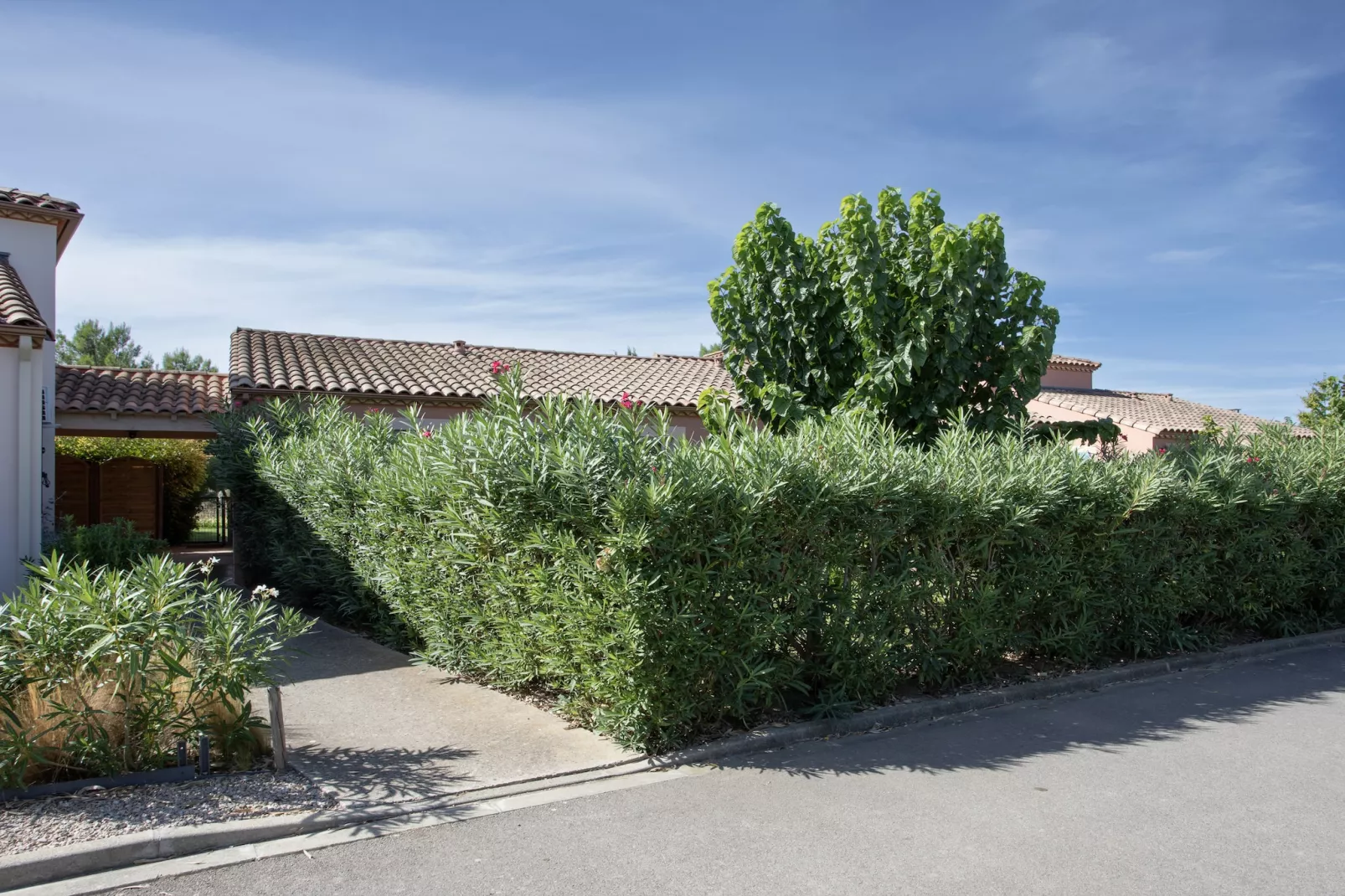 P. Minervois L N°02 - Villa 3P6-Gebieden zomer 1km