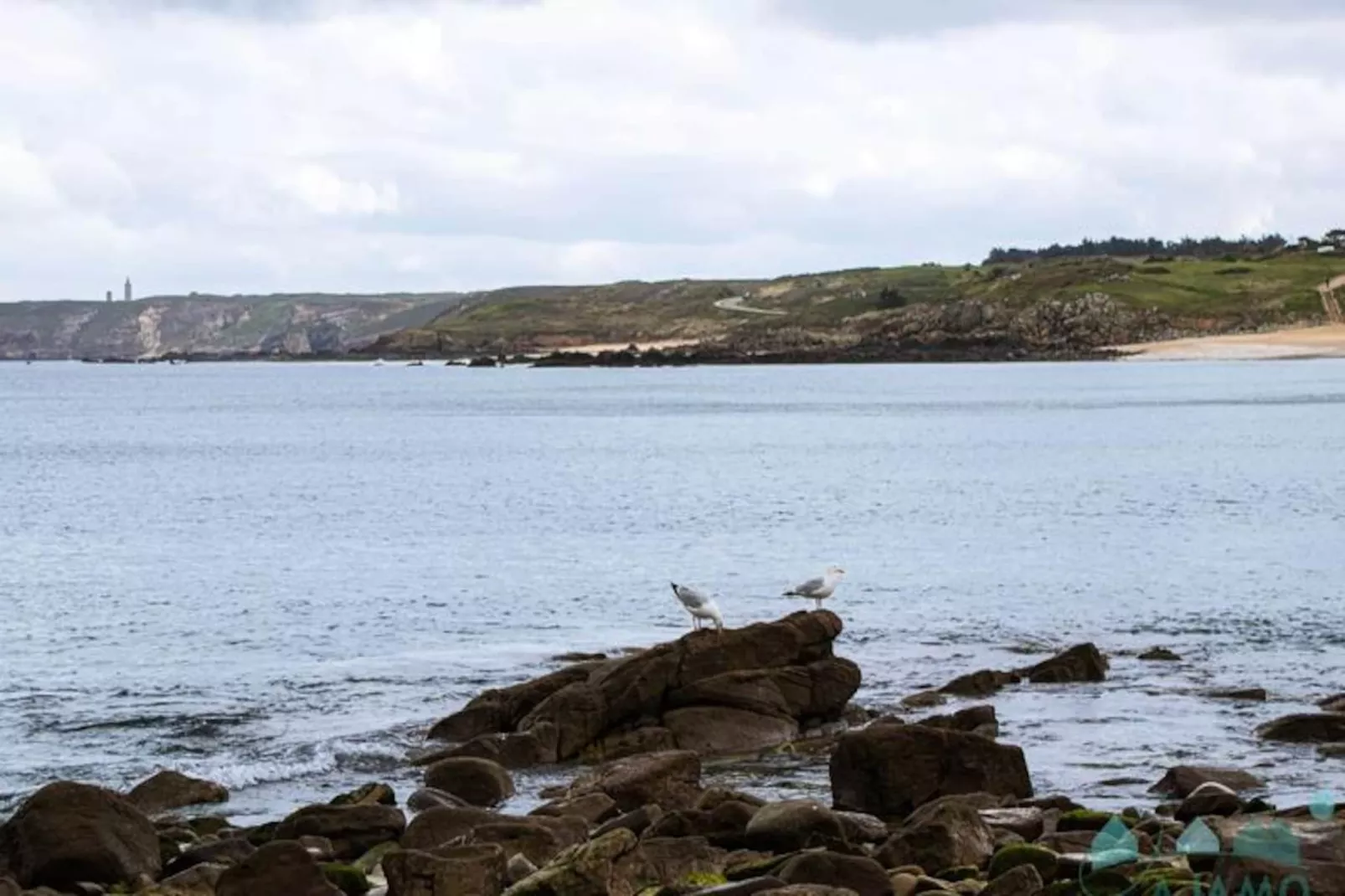 Résidence Les Sables-d'or-Niet-getagd