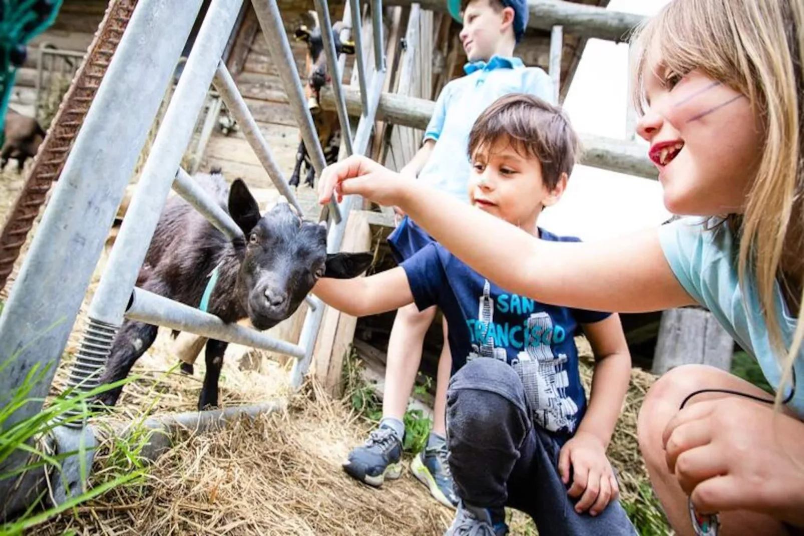 Résidence Club MMV La Clé des Cimes ****-Niet-getagd