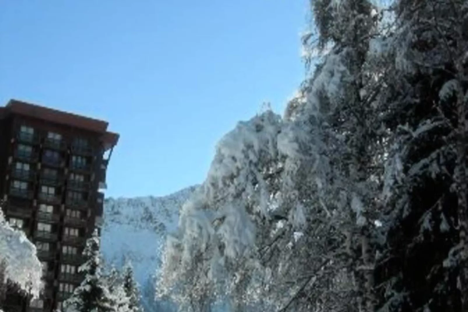 Résidence Vostok-Niet-getagd