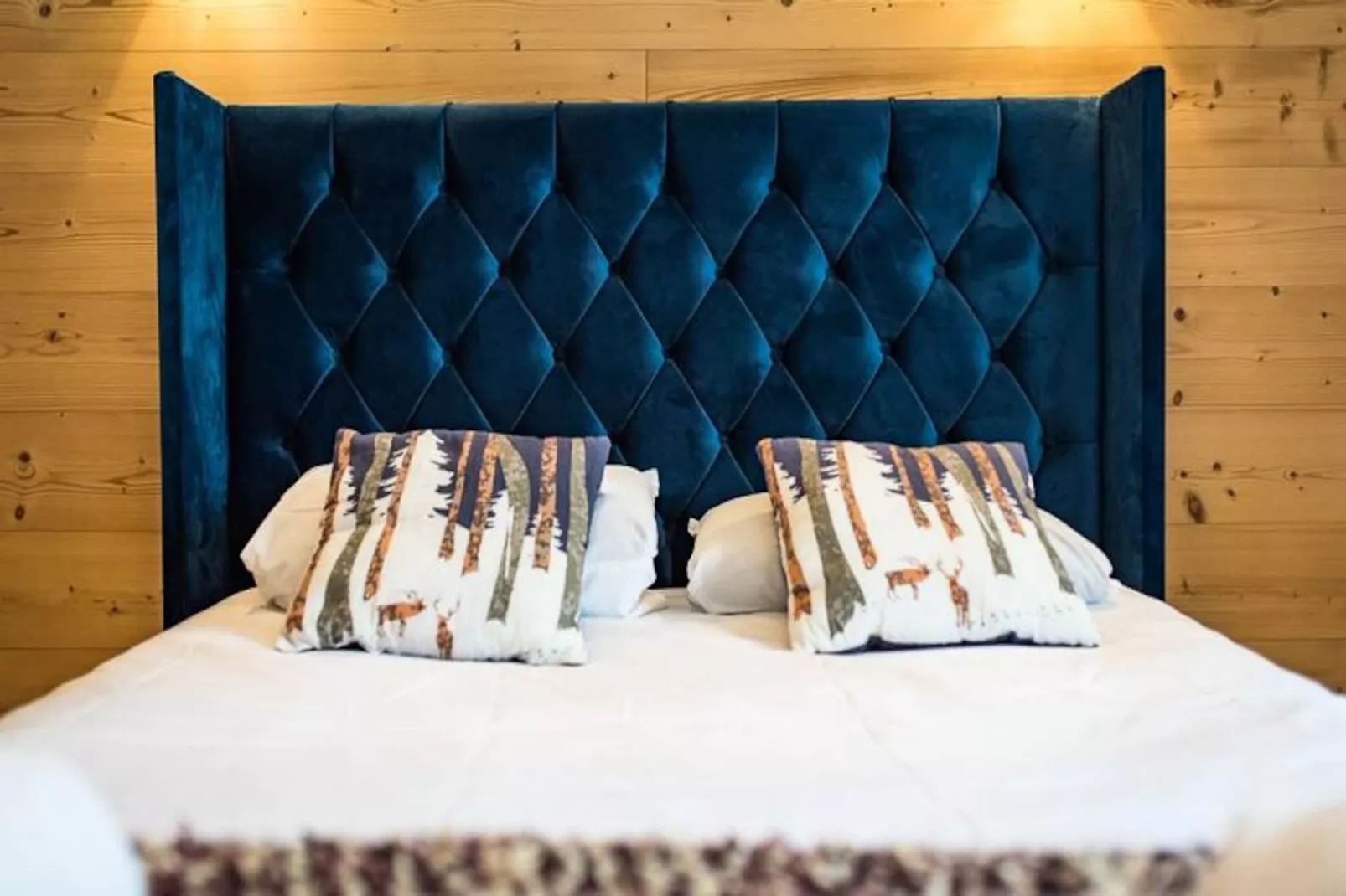 Chalet Denté-st Sorlin D Arves-Niet-getagd