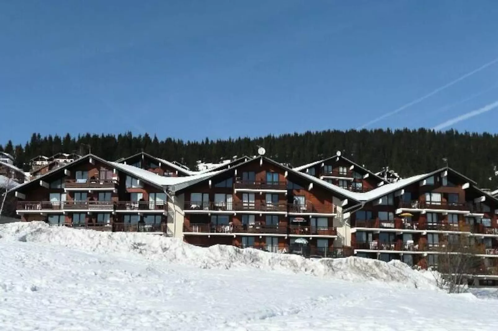 Résidence Jardin Alpin - Armeria-Niet-getagd