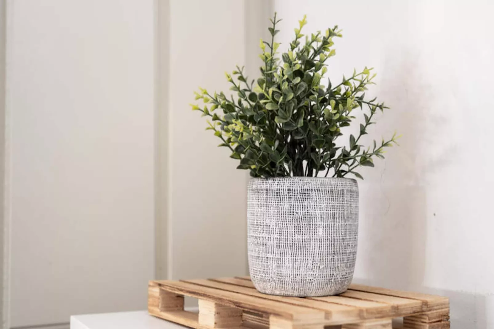 Studio à Porto-Niet-getagd