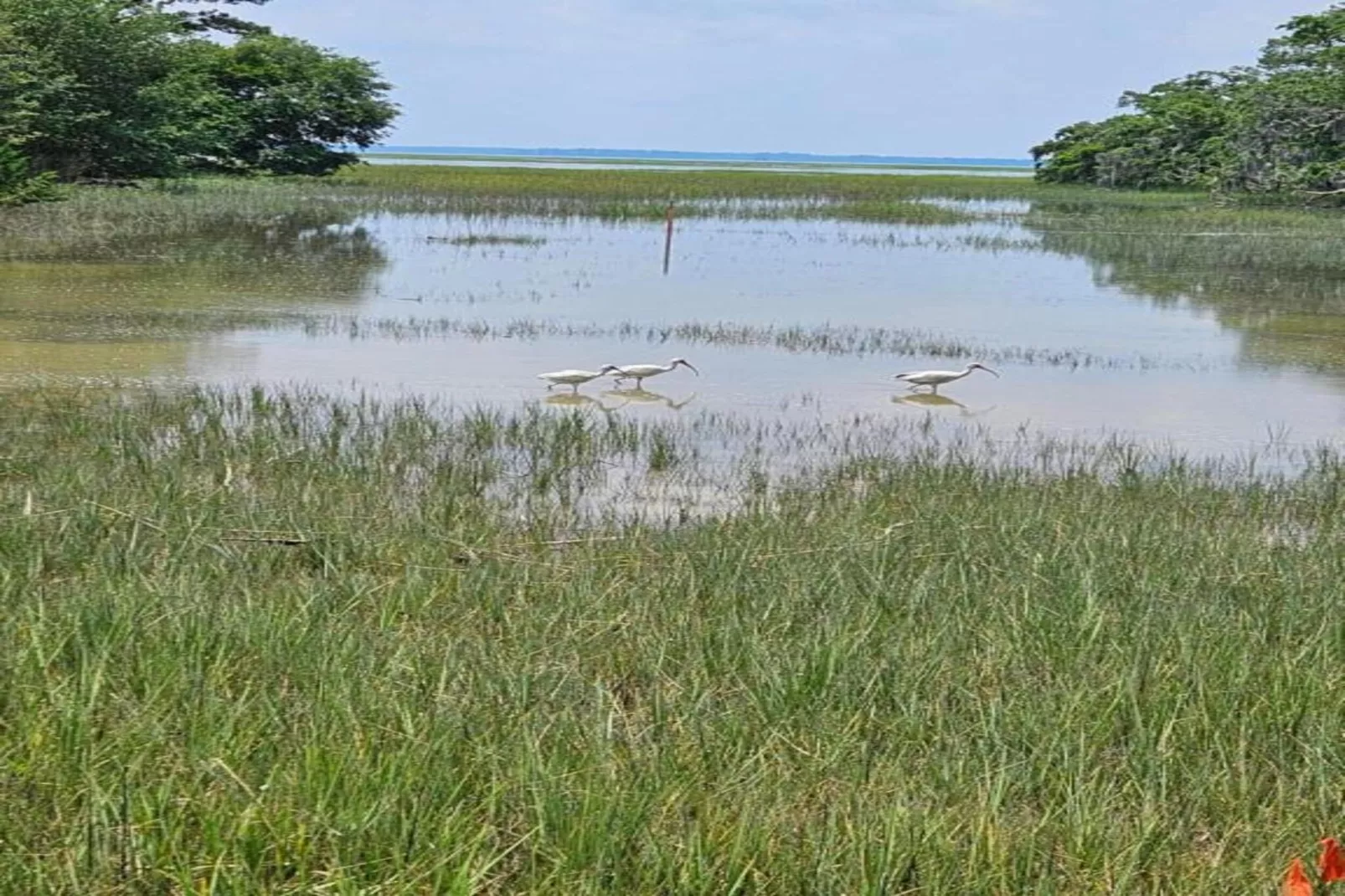 Résidence La Clé des Cimes 5-S10-Gebieden zomer 20km