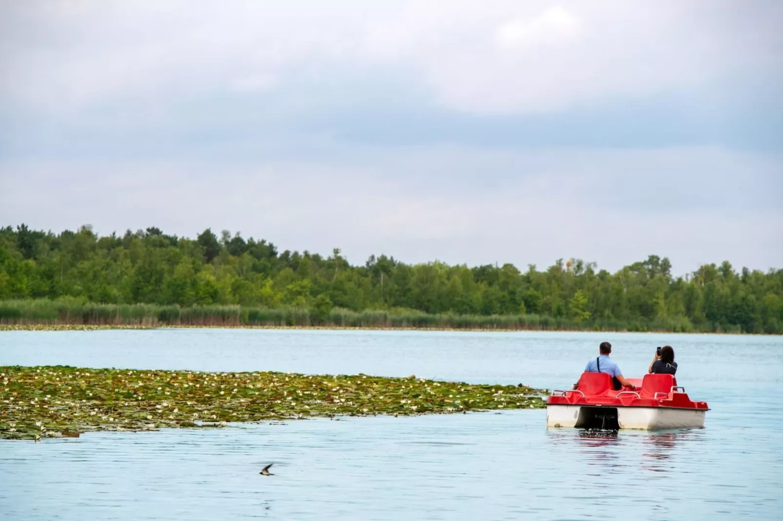 Strandläufer Classic 212-Gebieden zomer 5km
