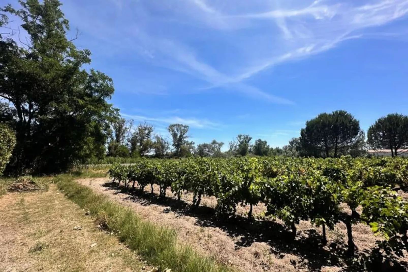 Résidence G&icirc;te Du Mas - Charmant G&icirc;te Proven&ccedil;al Avec Jardin Commun-Niet-getagd