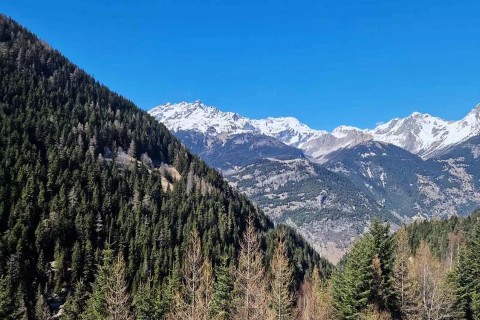 Résidence Vita Parc-Niet-getagd