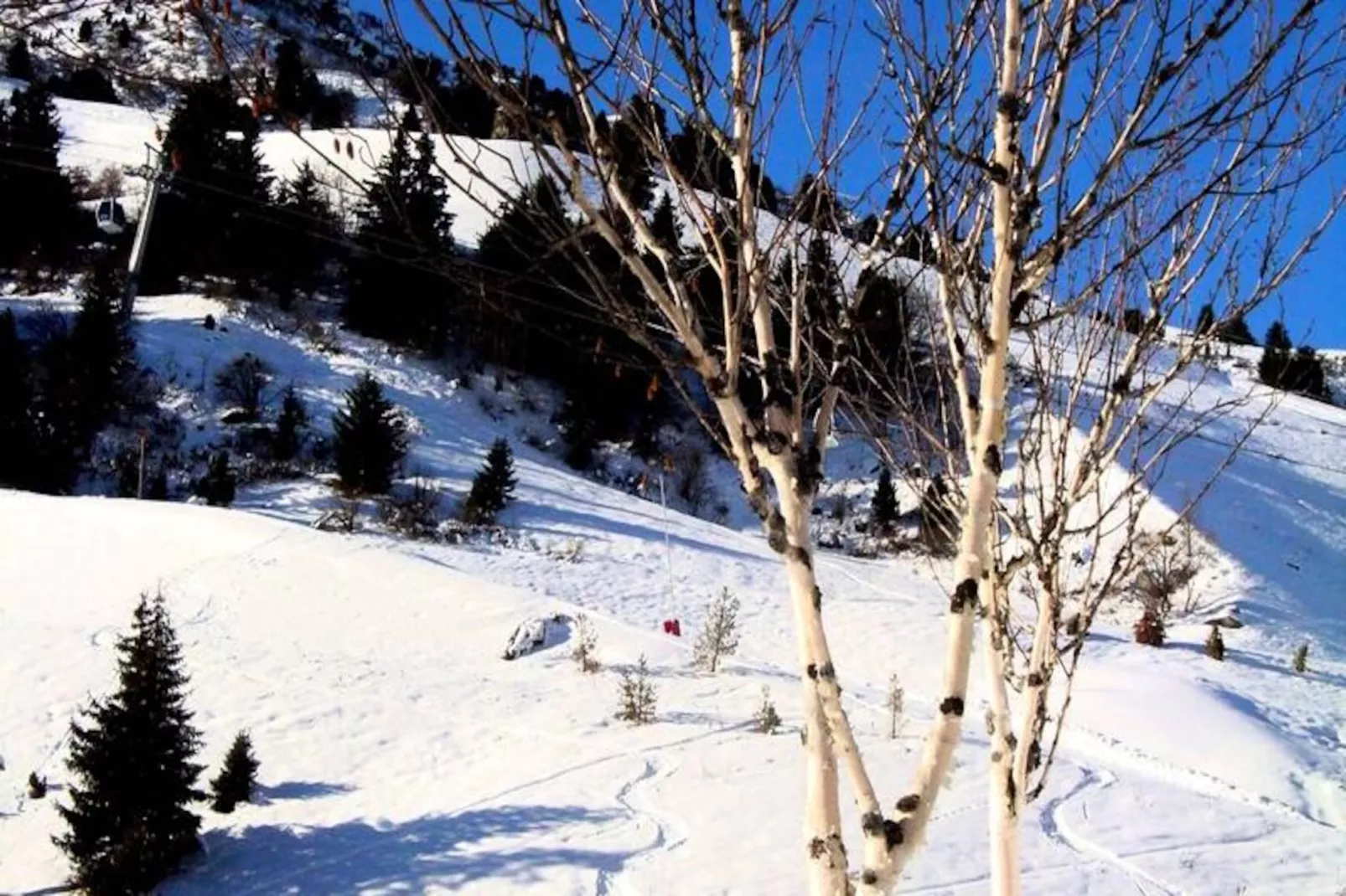 Résidence Lac Blanc-Niet-getagd