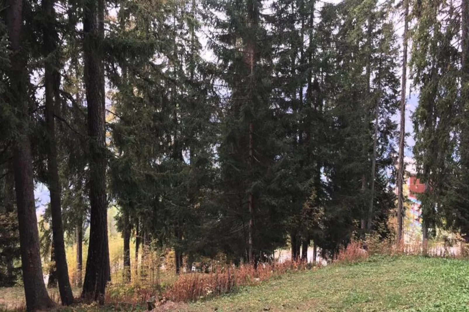 Résidence Alliet - Niet-getagd