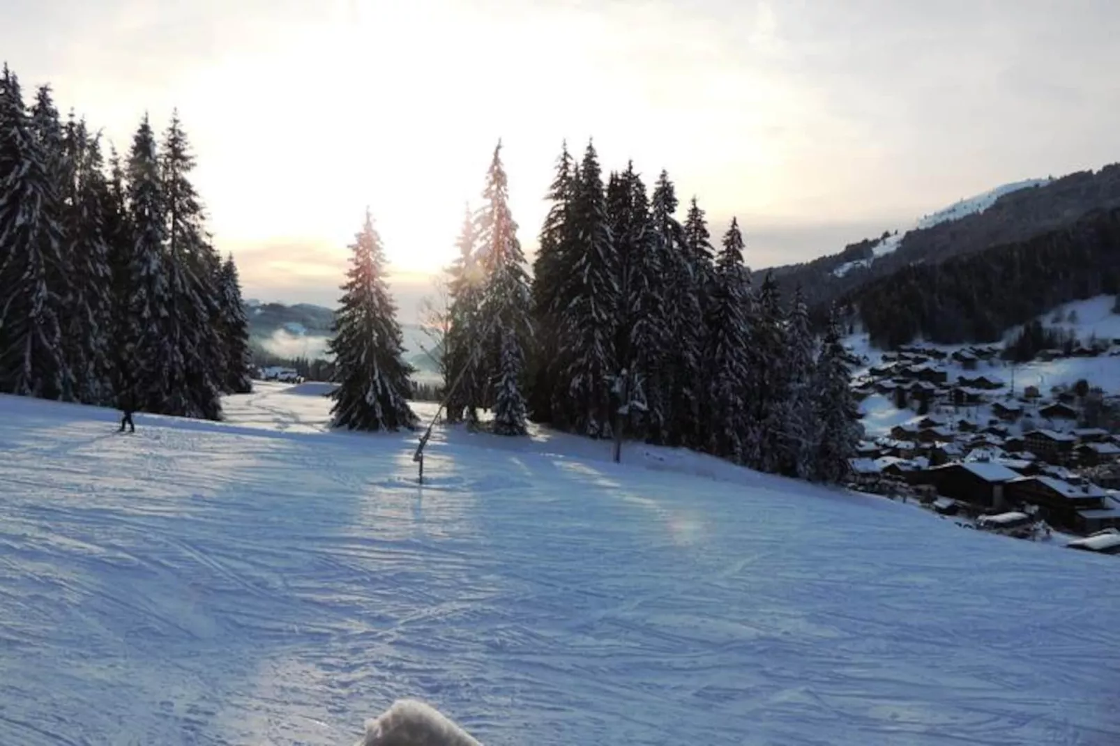 Résidence Grizzly-Niet-getagd
