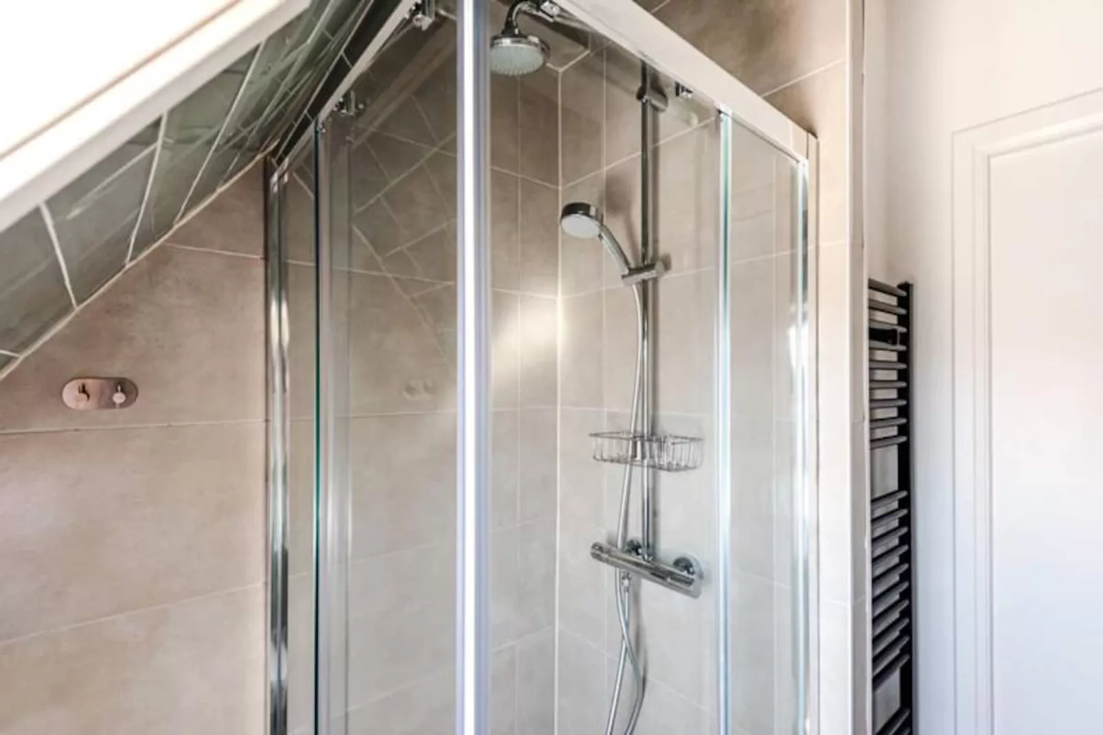 Albatros Aan Zee - Studio-Niet-getagd