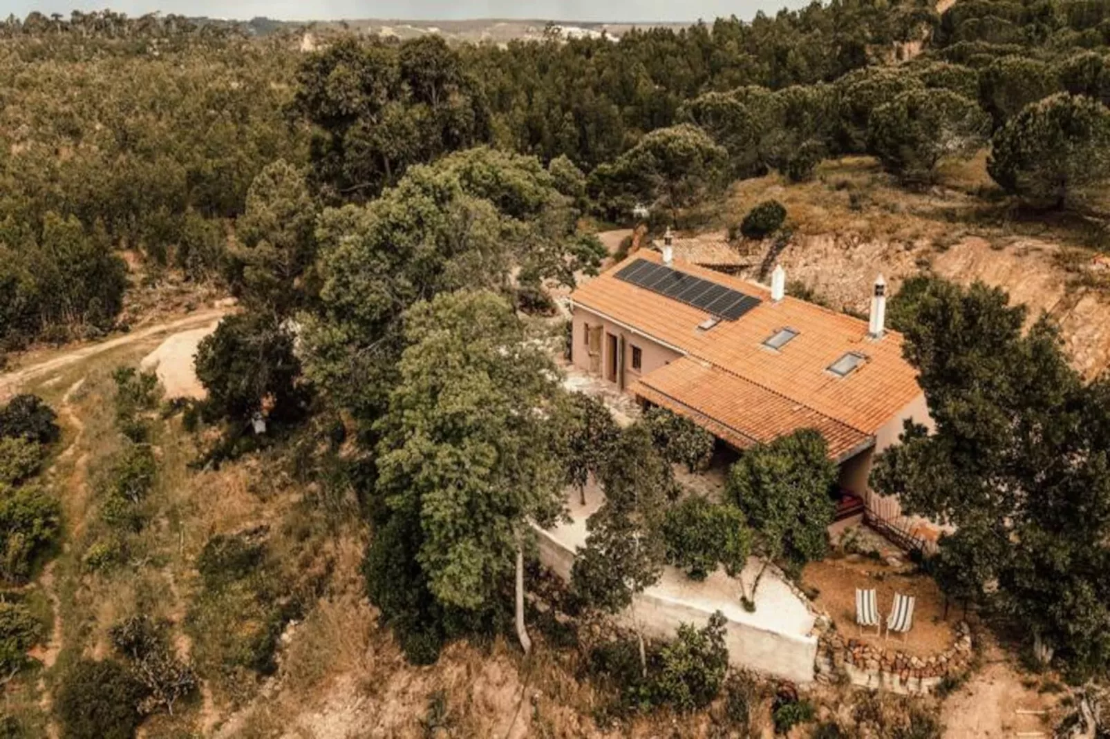 The Lemon Lodge - Tikka Suite-Niet-getagd