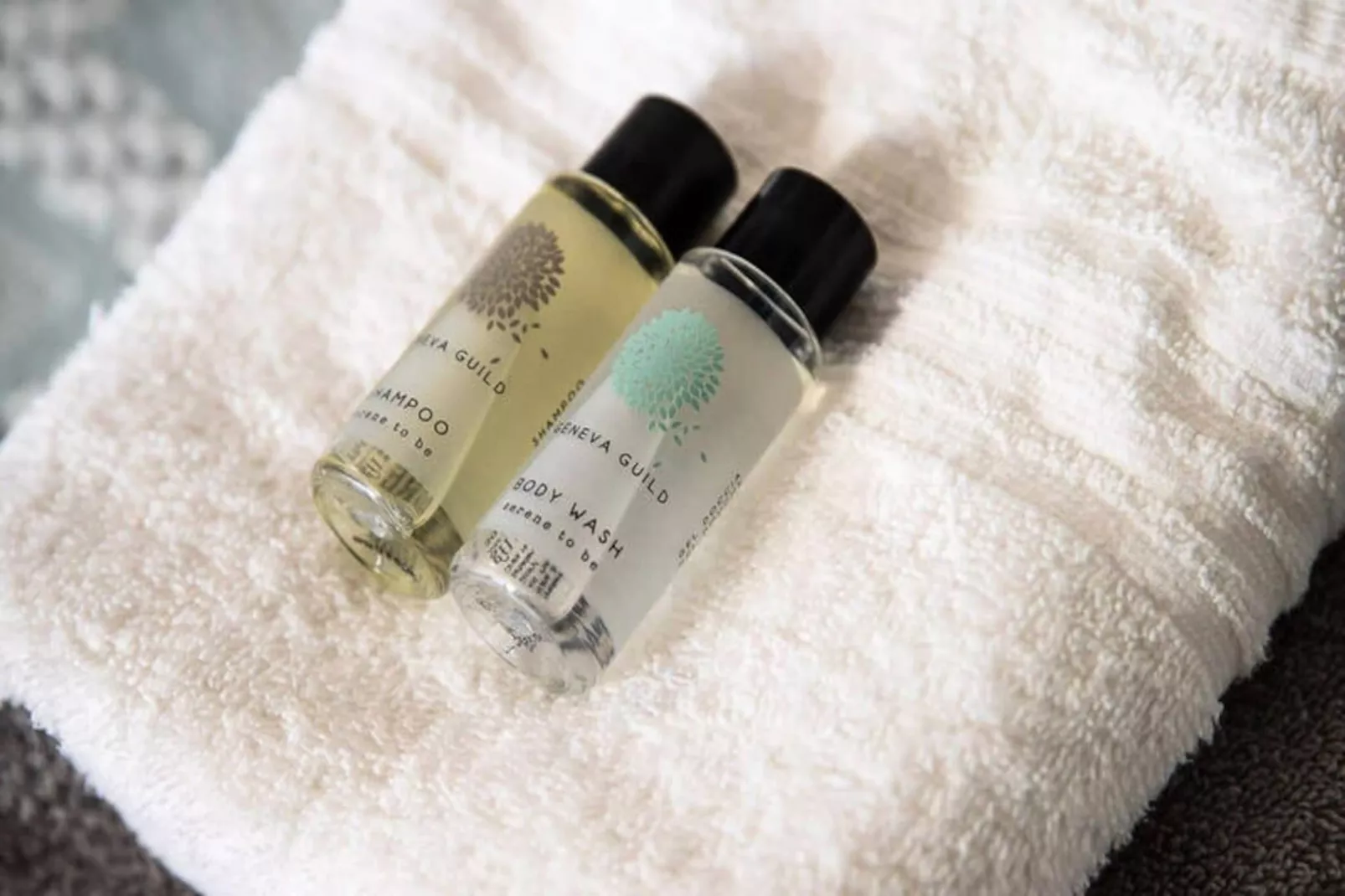 Appartements à La Rochelle-Niet-getagd