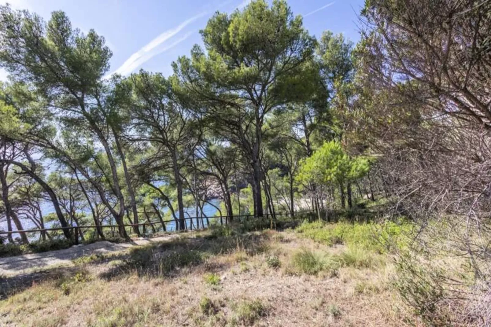 Studio Ath&eacute;na --Niet-getagd