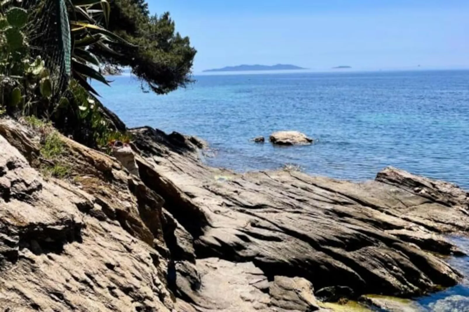 Résidence Appartement Avec Jardin - Cavali&egrave;re-Niet-getagd