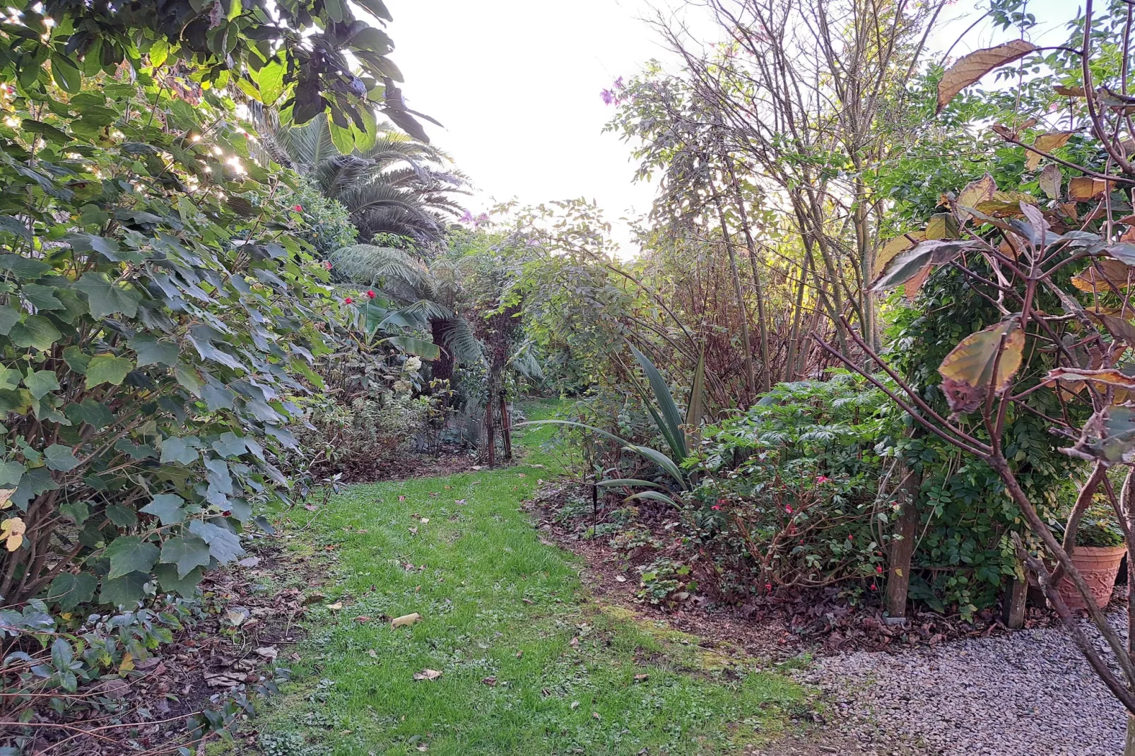 Granitsteinhaus in Guimaëc-Tuin winter