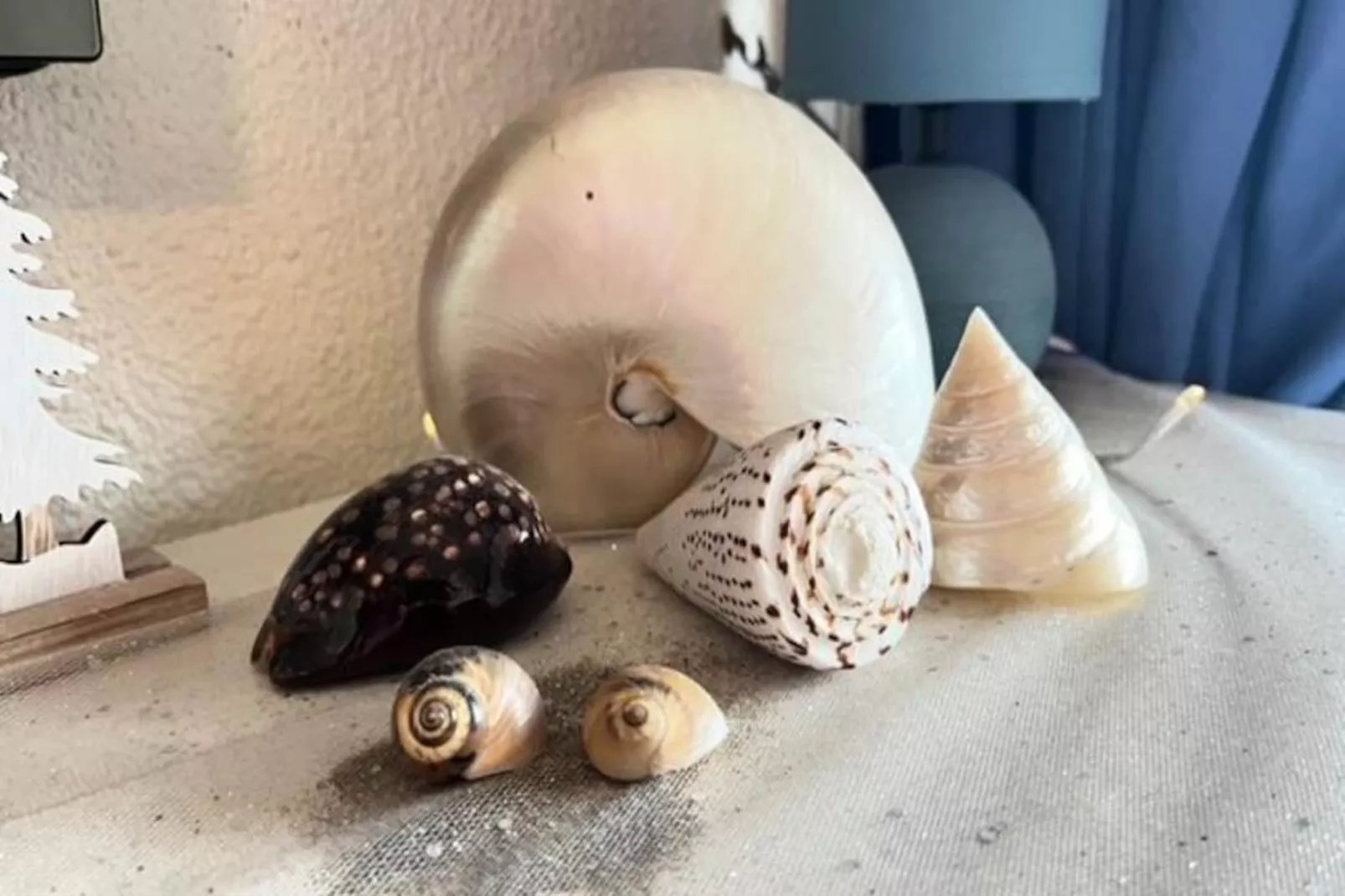 Résidence Los Amigos Ii-Niet-getagd