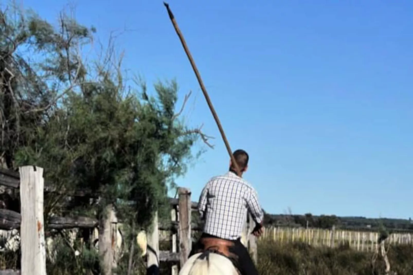 Résidence La Croix Du Sud 4 - Appartement En Duplex Vue Mer 1&egrave;re Ligne Avec Terrasse-Niet-getagd
