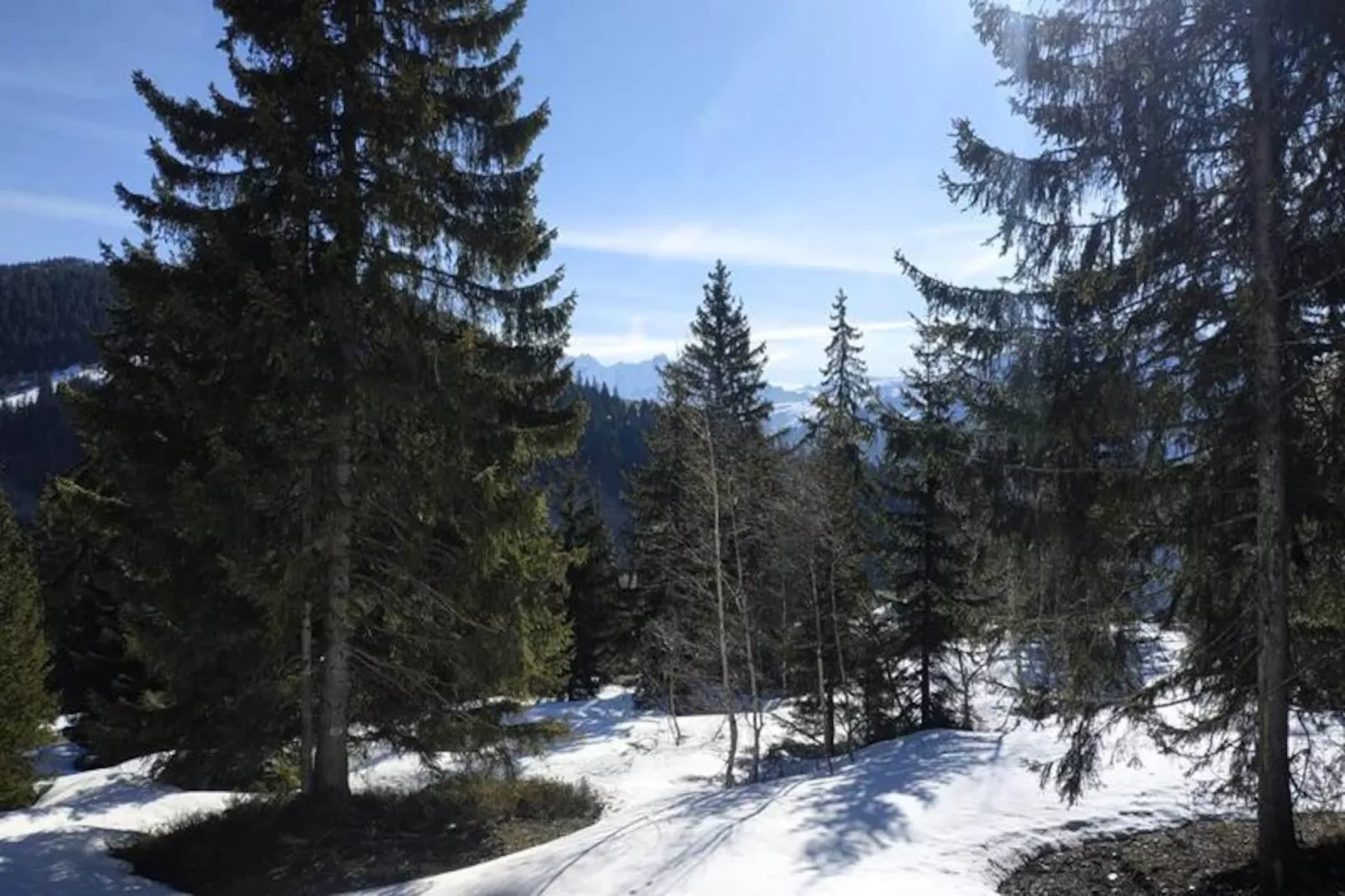 Chalet Akasha-Niet-getagd