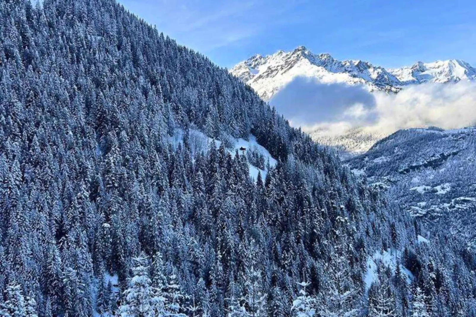 Résidence Vita Parc-Niet-getagd