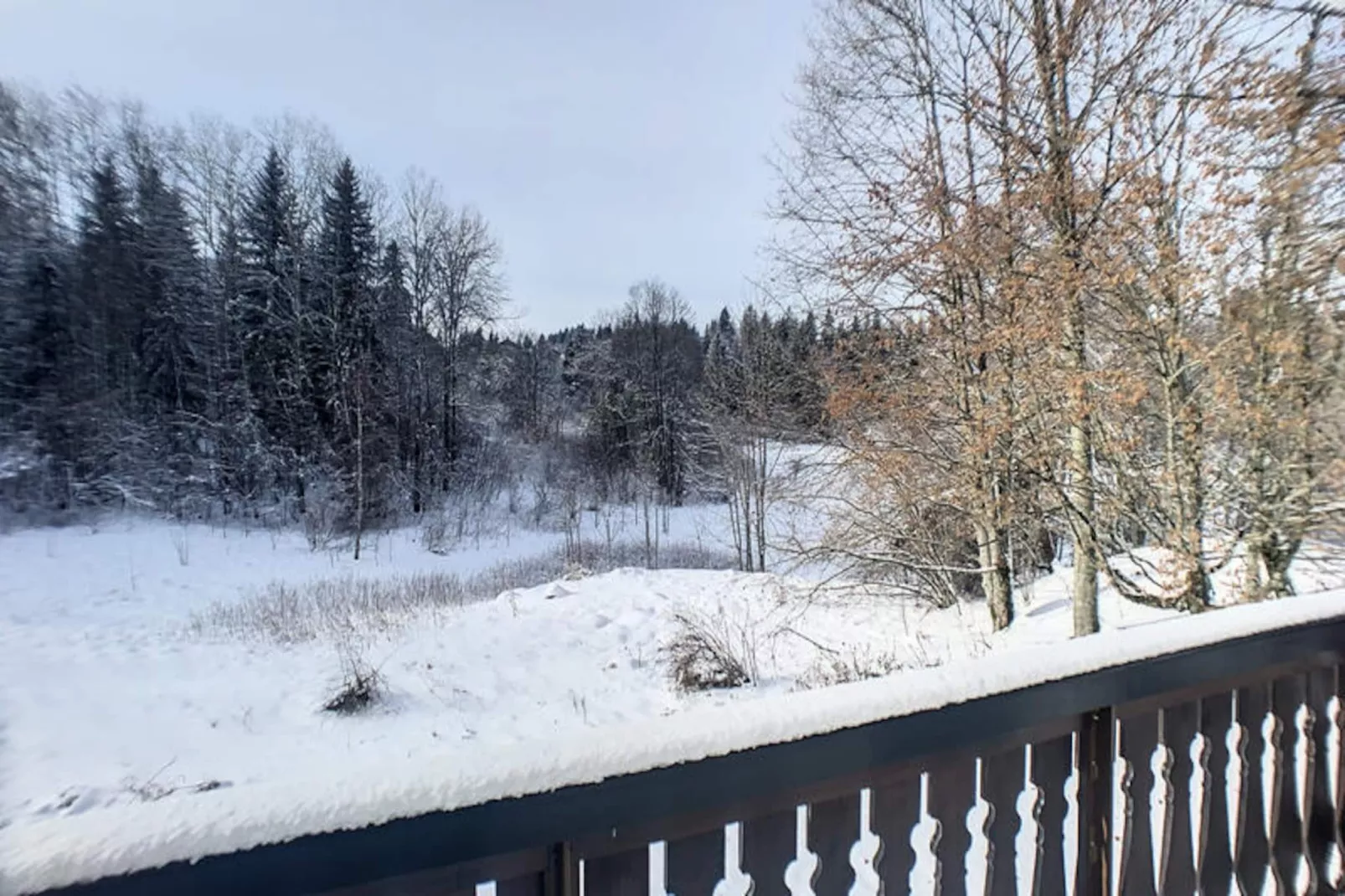 Appartements à Les Carroz-d'Arâches-Niet-getagd