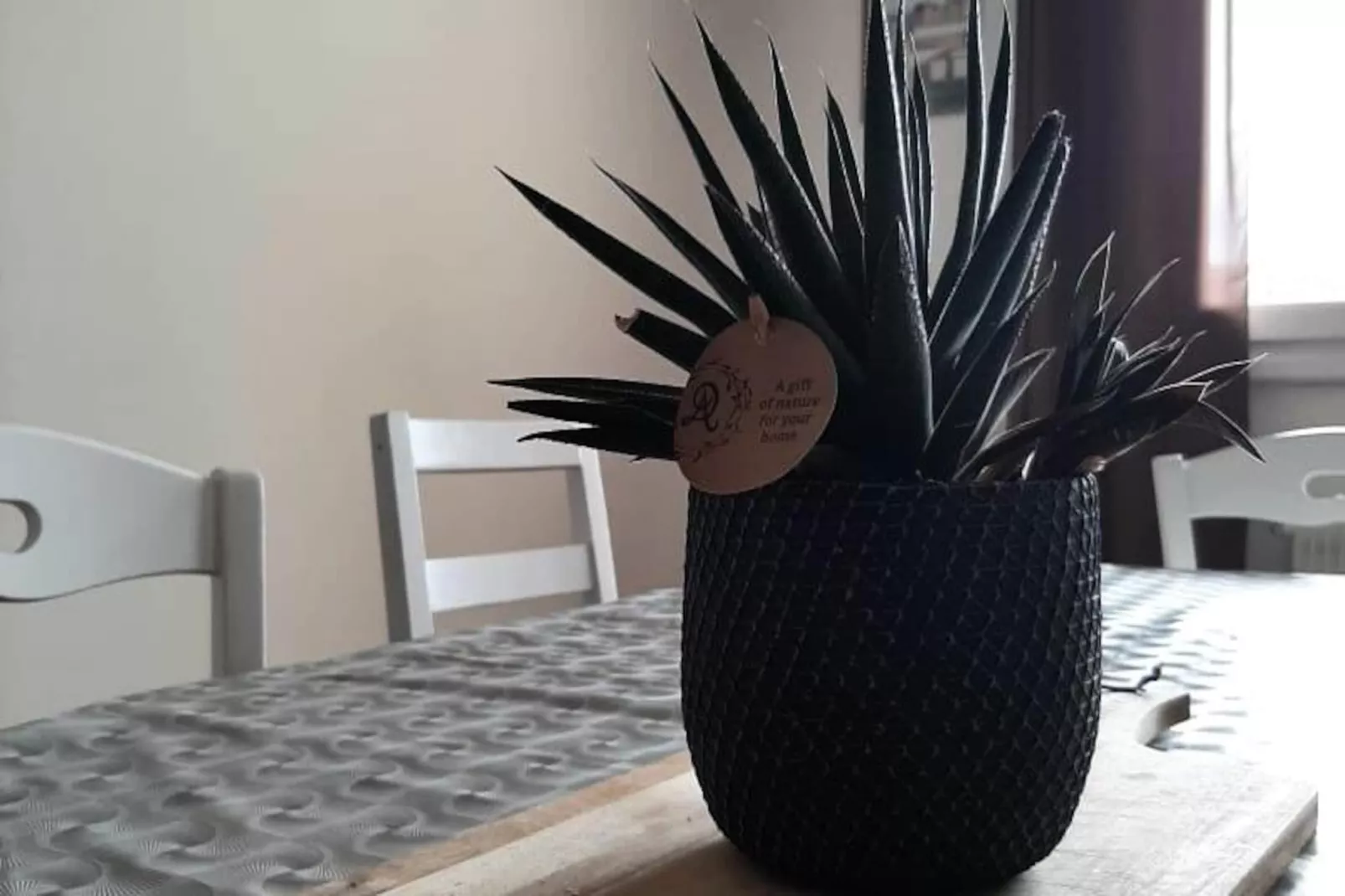 Résidence Md 52 - &eacute;l&eacute;gante Maison Avec Terrasse-Niet-getagd