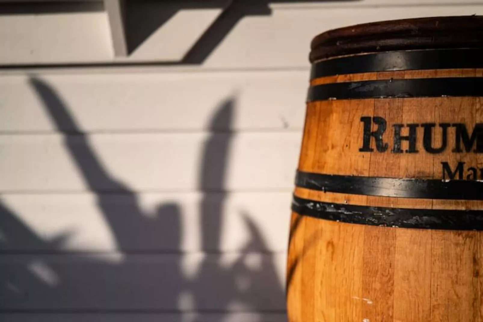 Villa Paruline - Niet-getagd