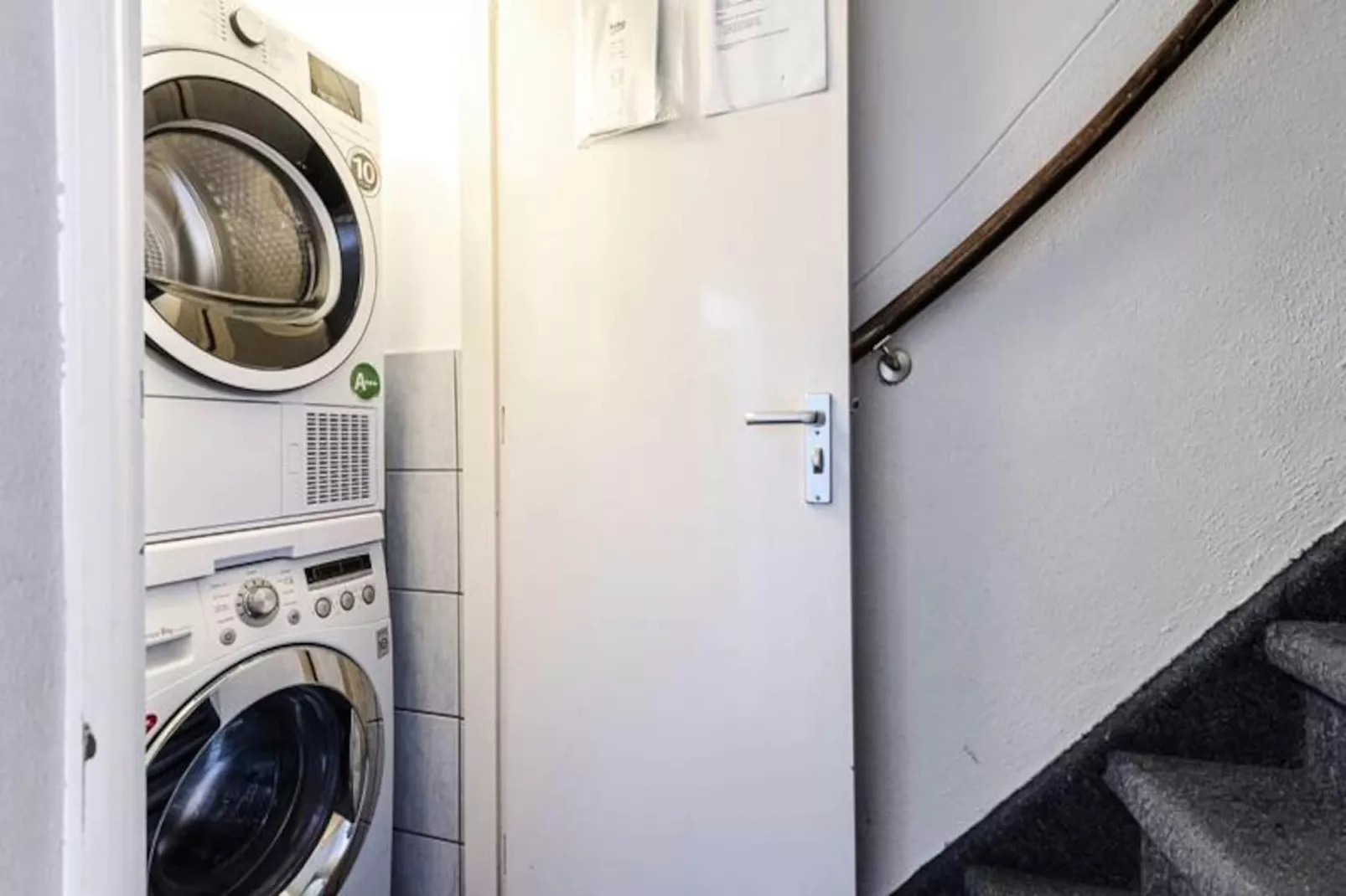 Albatros Aan Zee - Studio-Niet-getagd