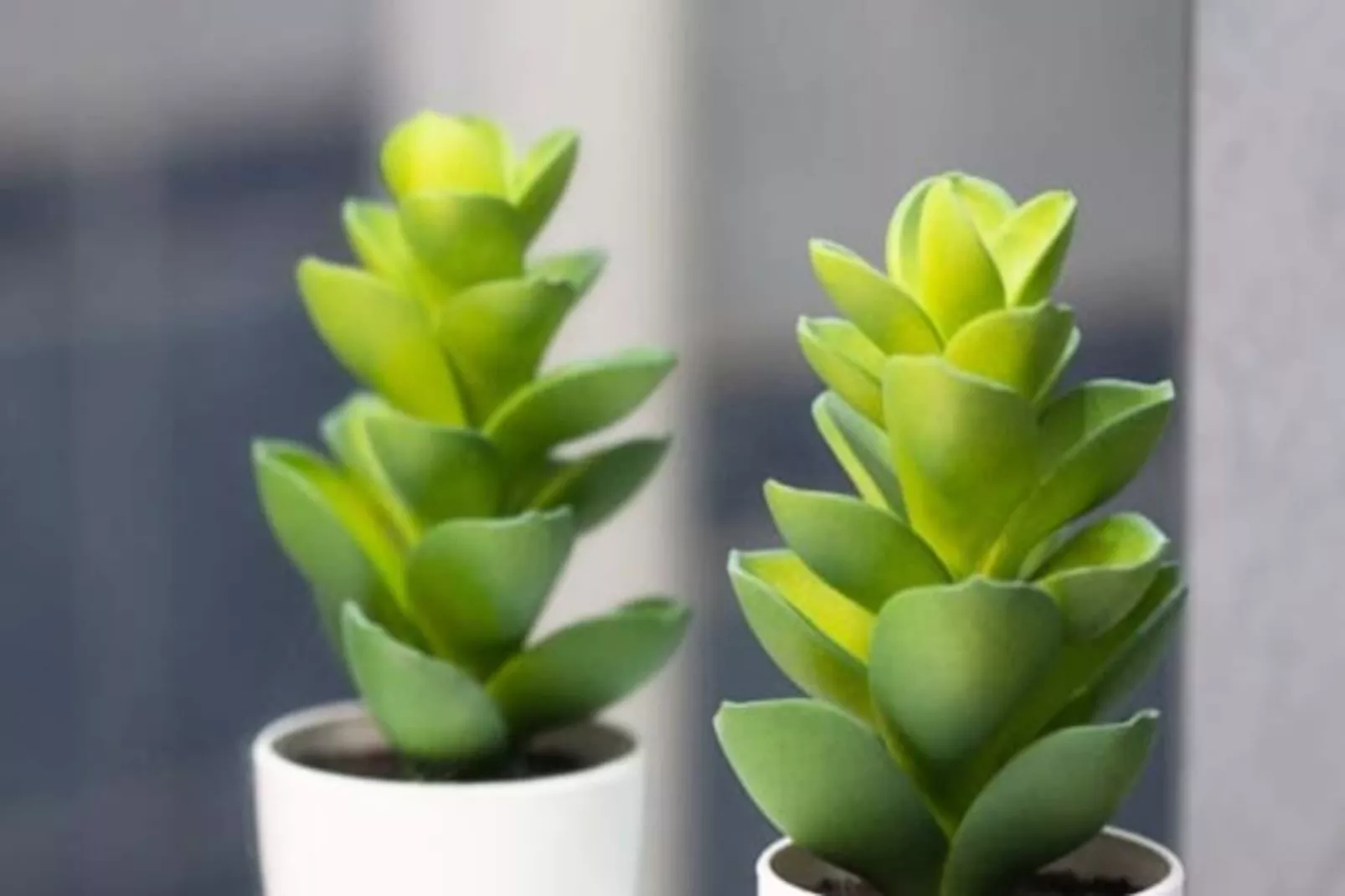 06k2 - Joli Studio Climatisé - Terrasse Vue Mer-Niet-getagd