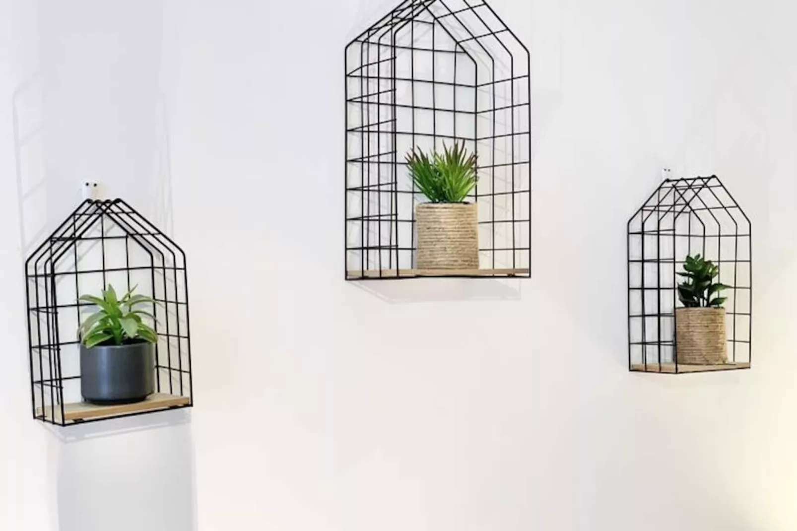 |the Sweet Jaur&egrave;s 🩵-Niet-getagd