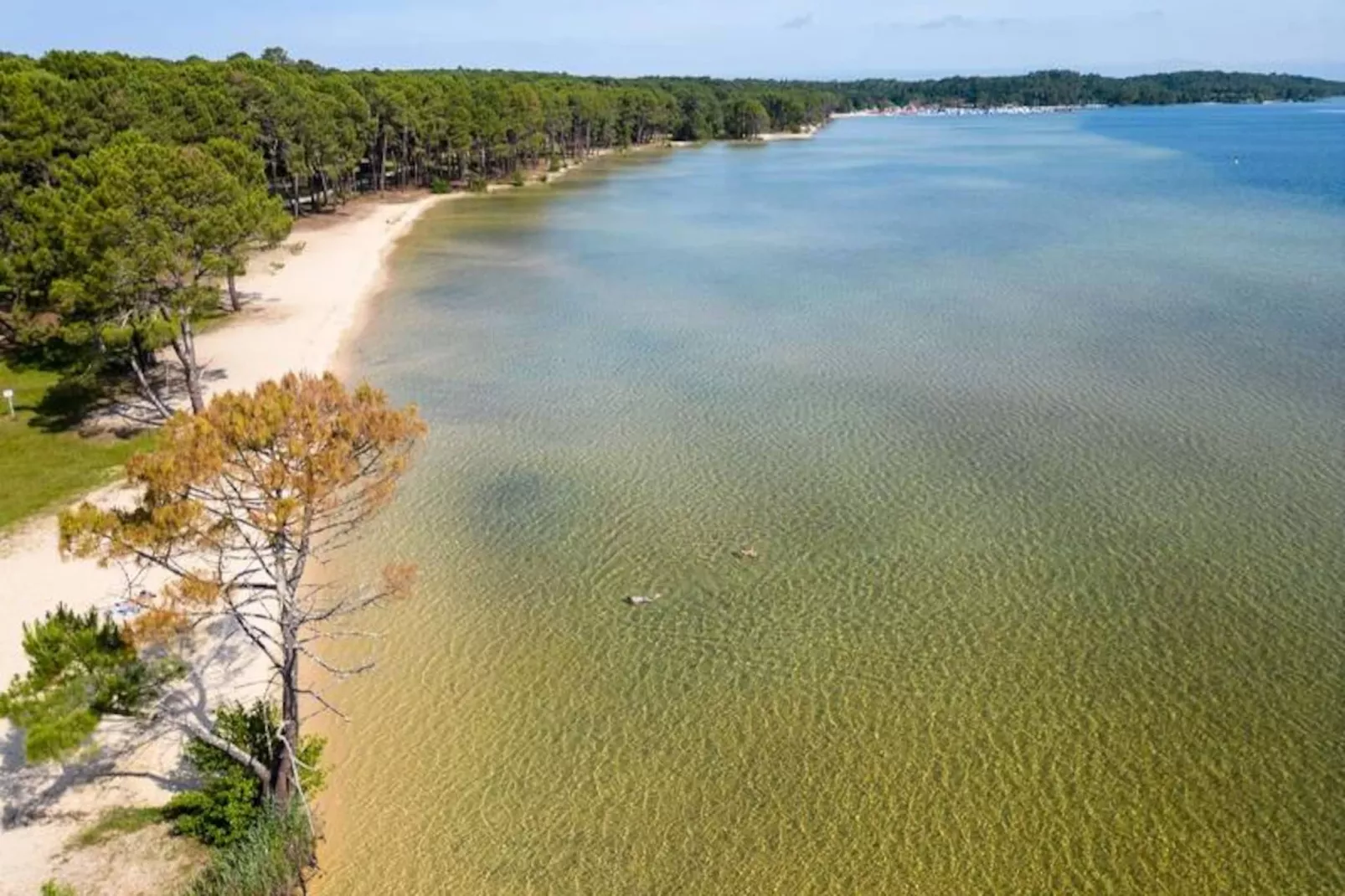 Résidence 60courbey-biscarrosse-Niet-getagd