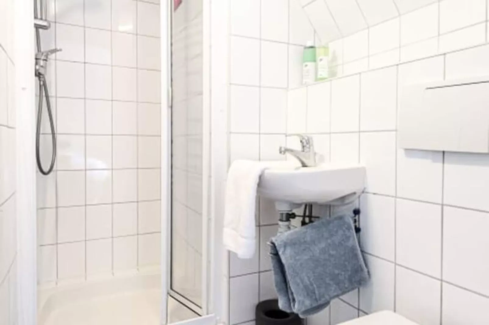 Albatros Aan Zee - Zandvoort-Niet-getagd