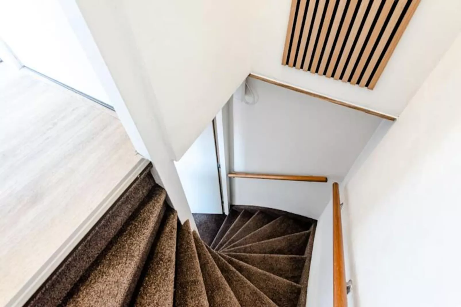 Albatros Aan Zee - Studio-Niet-getagd