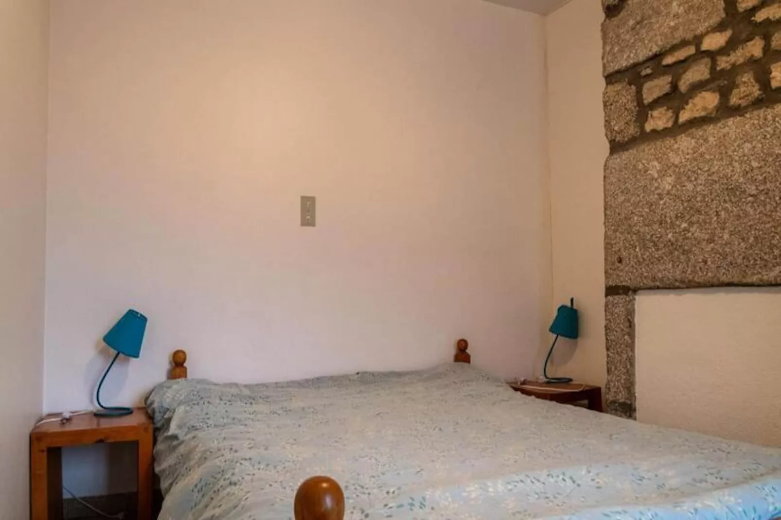 Gîte de France Gîtes de france 2/4 personnes au fau de peyre 1 épi-Niet-getagd