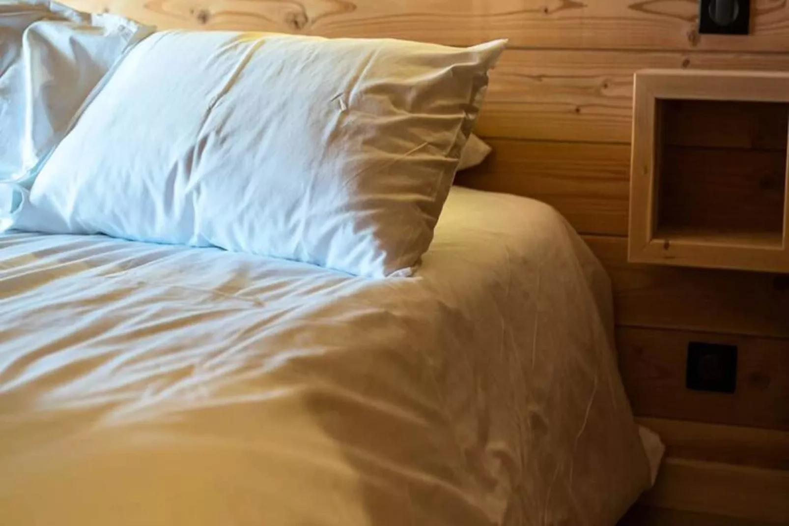 Résidence Peak Lodge Ouest-la Toussuire-Niet-getagd