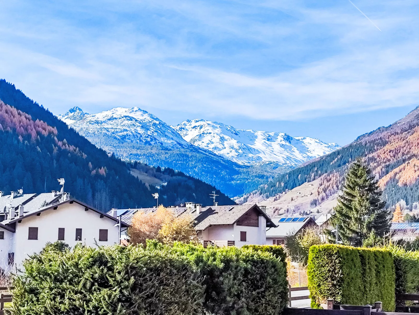 The Silent Sylva-Buiten