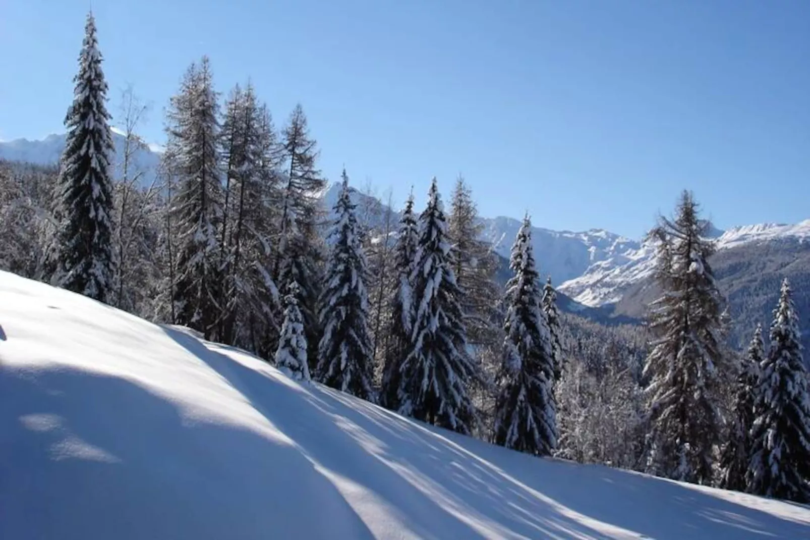 Résidence Grand Arbois - Niet-getagd