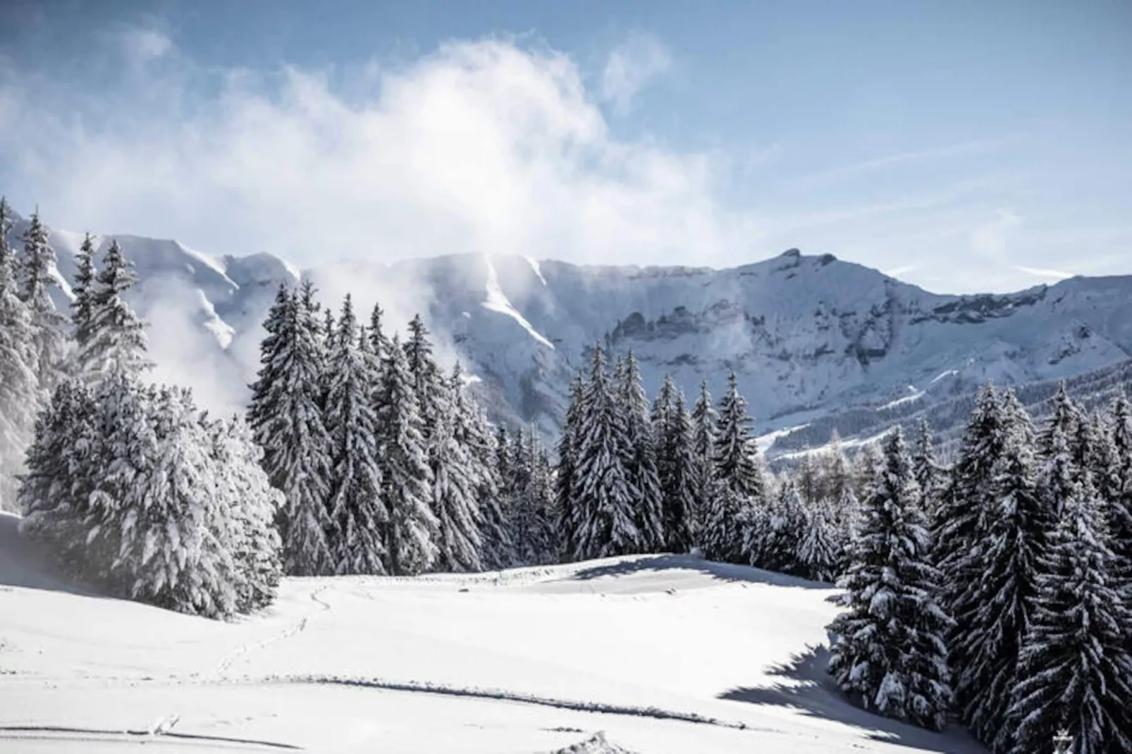 Résidence Mandarine Blanche-Niet-getagd