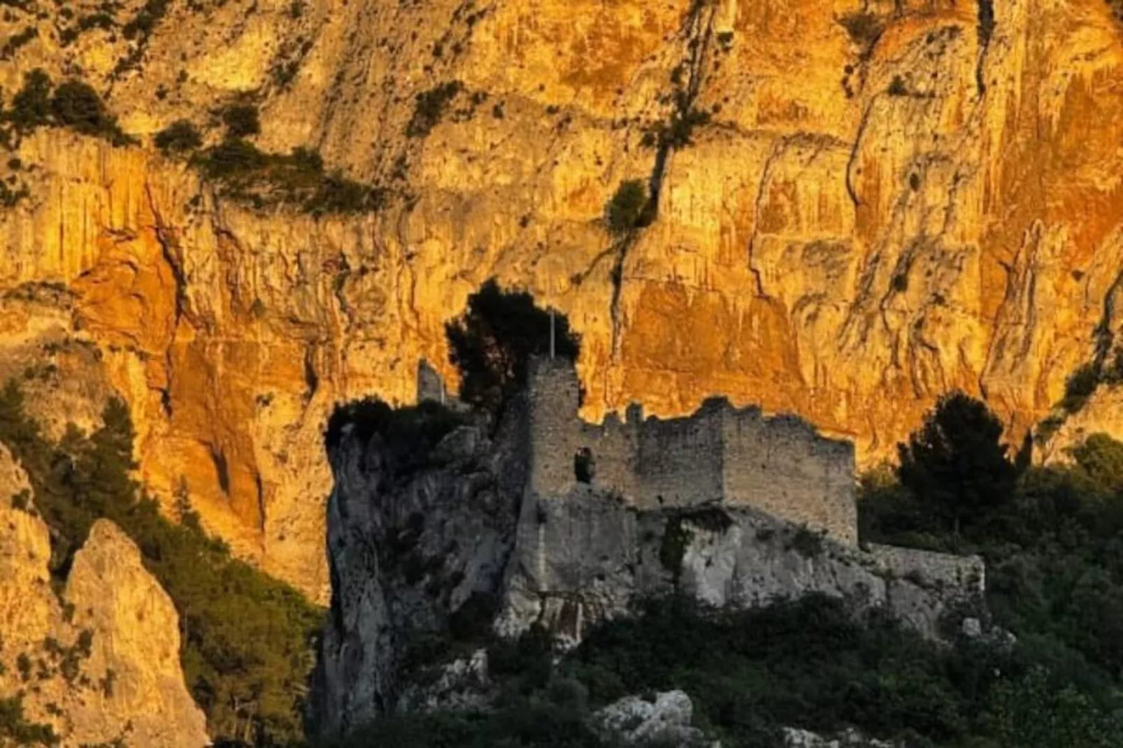 Le Chant Des Cigales-Niet-getagd