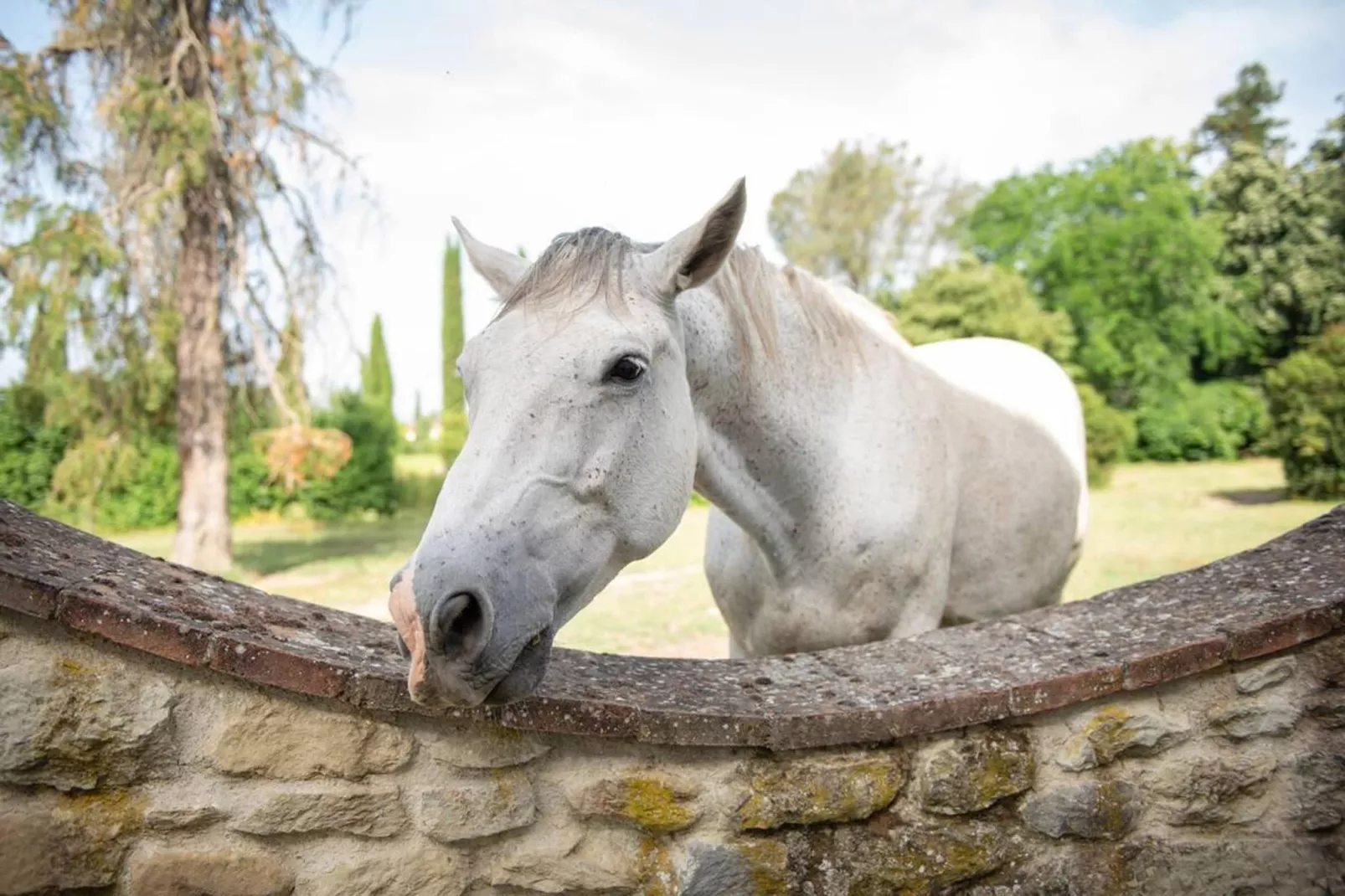 Fattoria-Faciliteiten