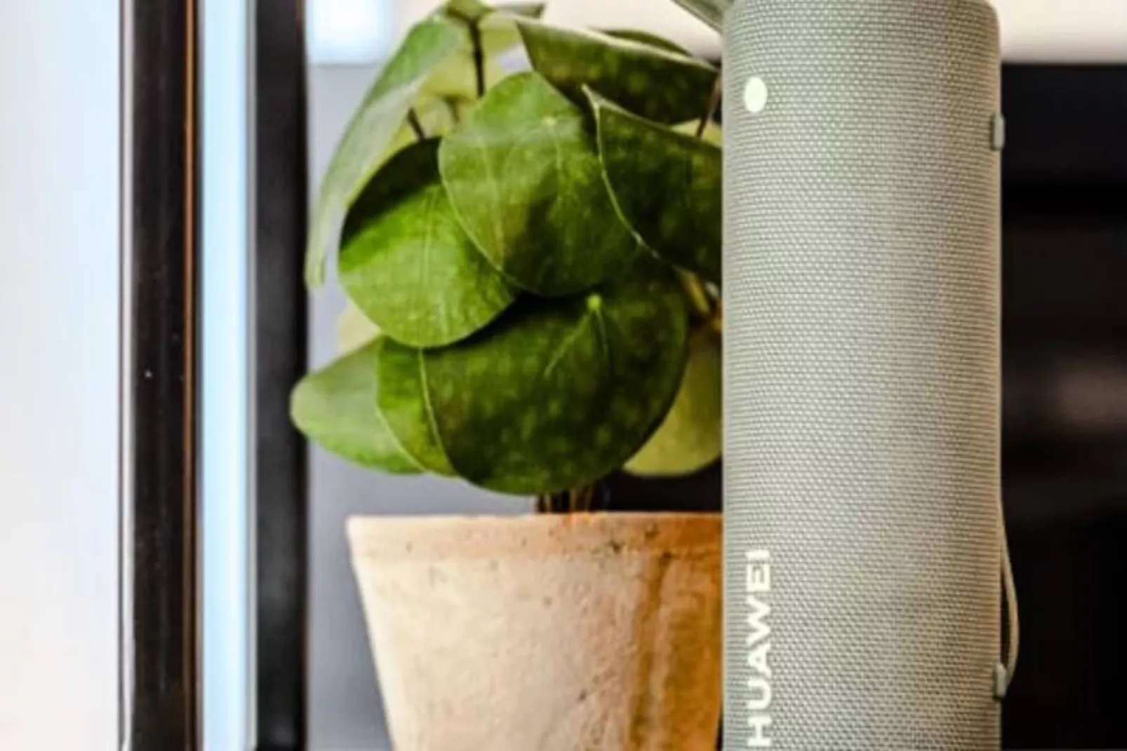 Oasis Zandvoort - Parking Gratuit-Niet-getagd