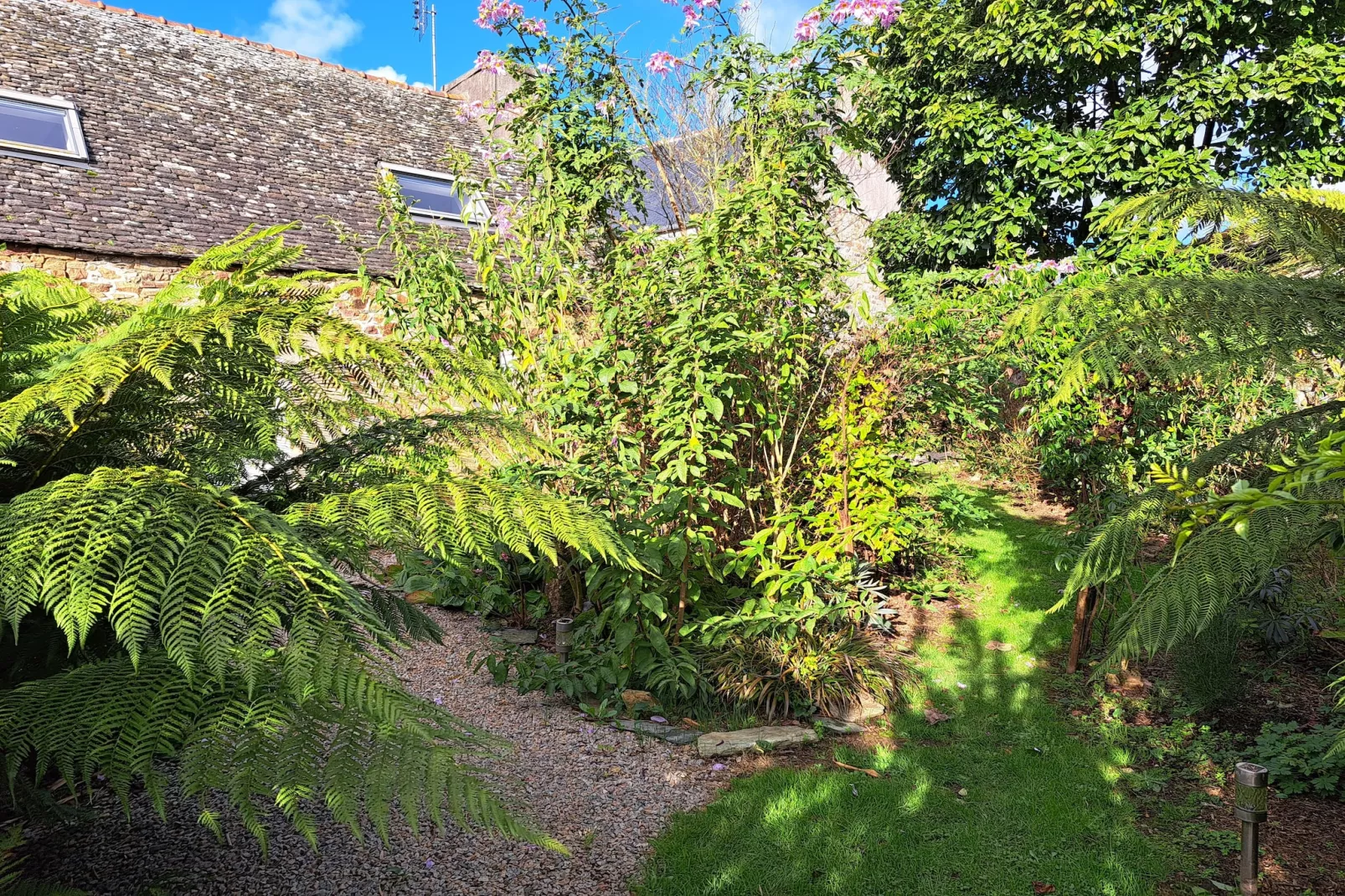 Granitsteinhaus in Guimaëc-Tuin winter