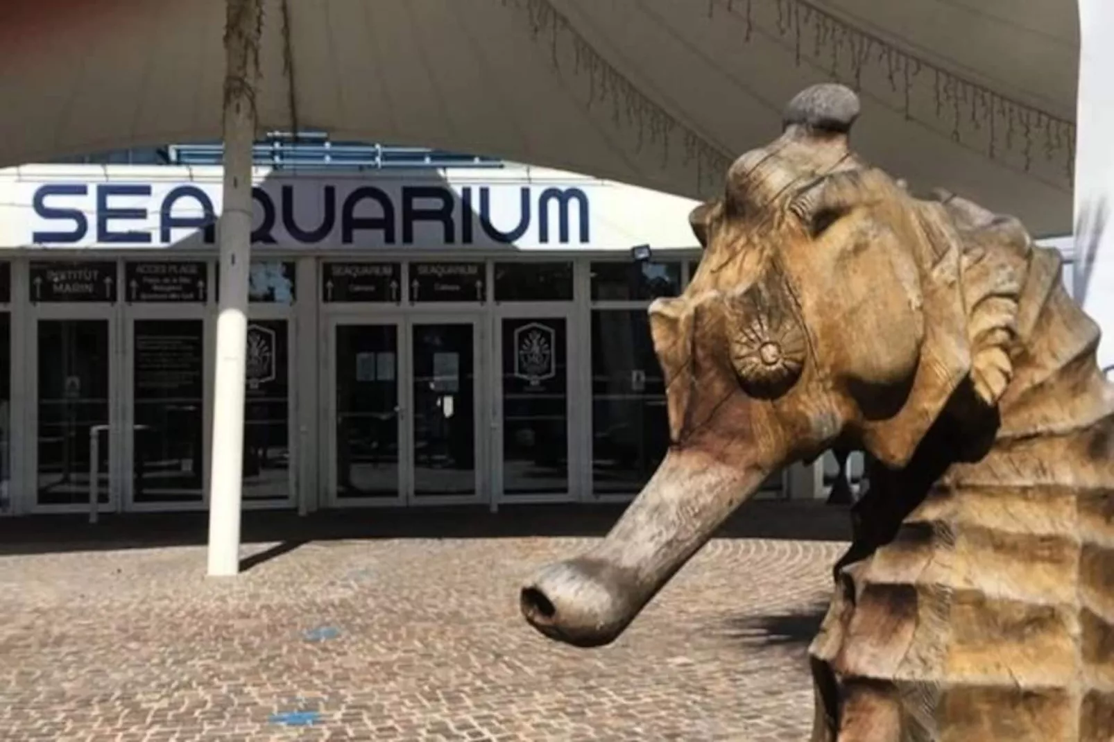 Résidence  Floralies 2-Niet-getagd