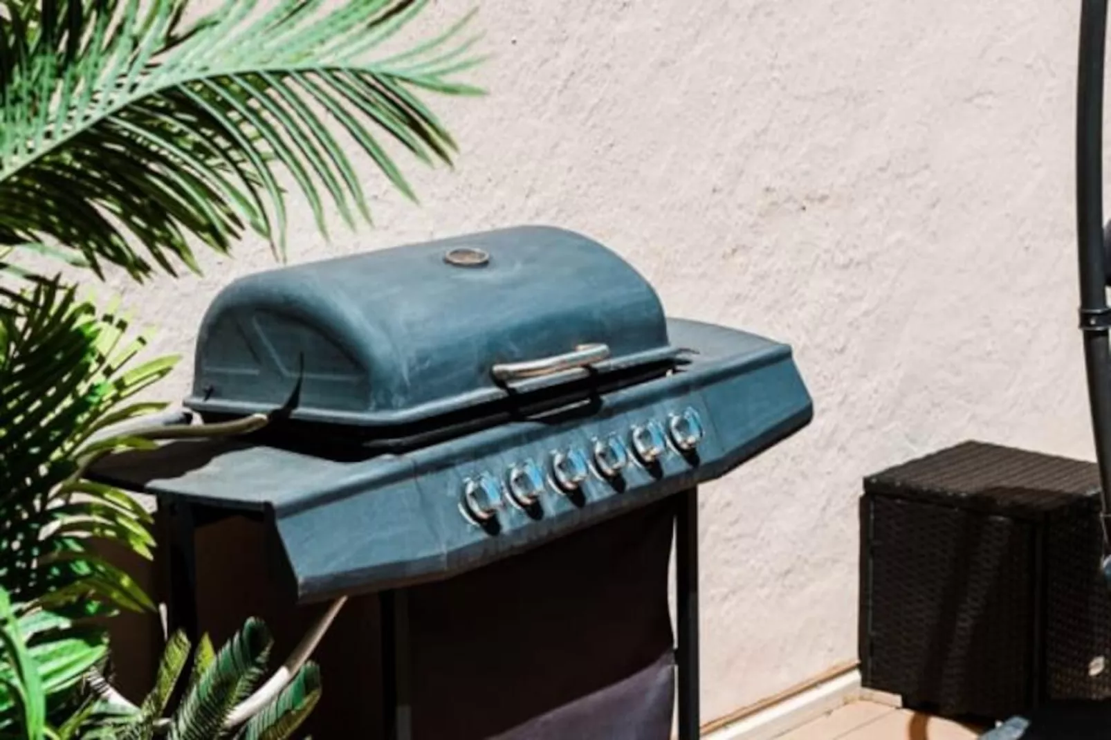 Résidence Superbe Appartement Sur Le Port De La Favi&egrave;re-Niet-getagd