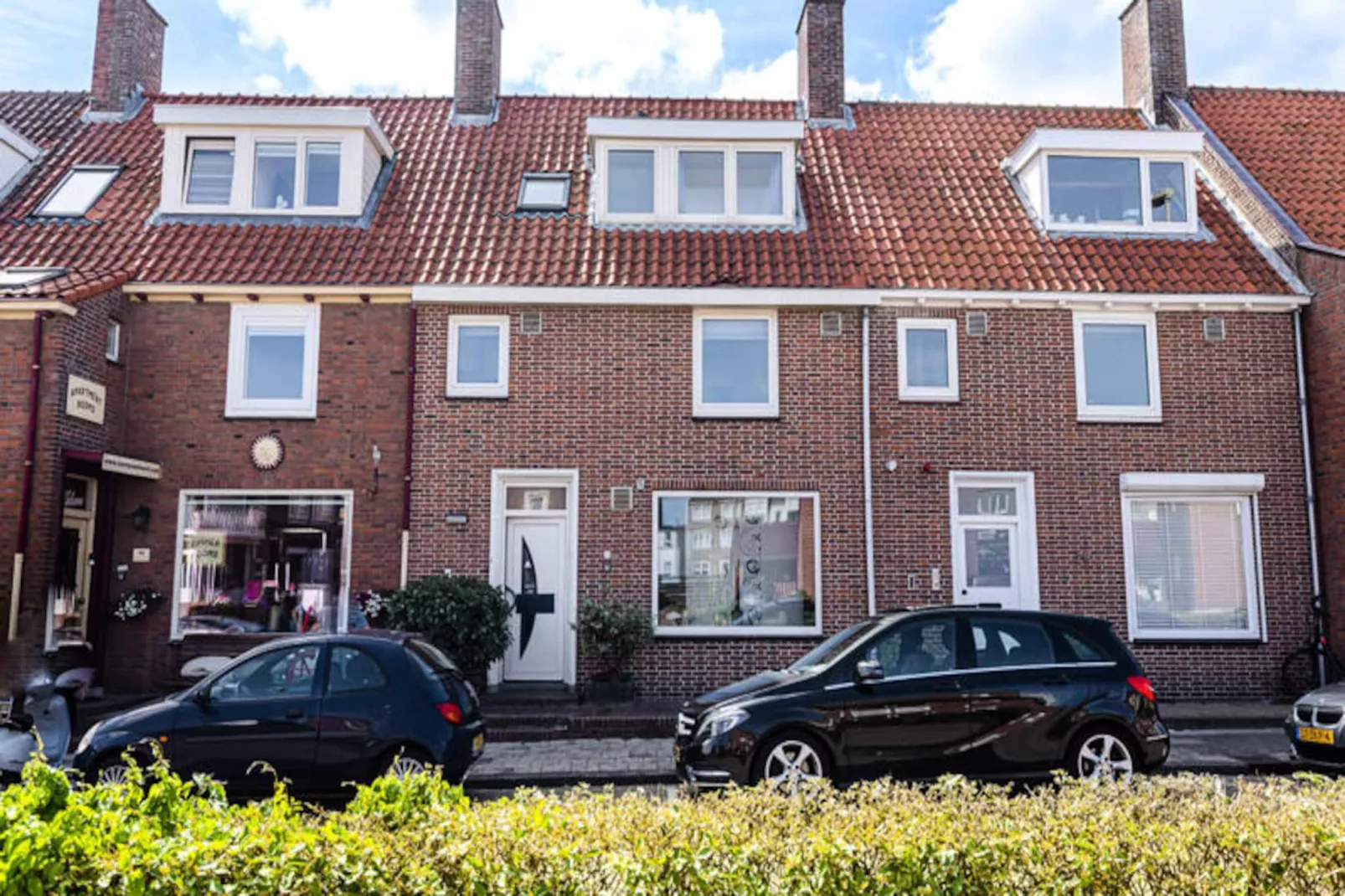 Albatros Aan Zee - Studio-Niet-getagd