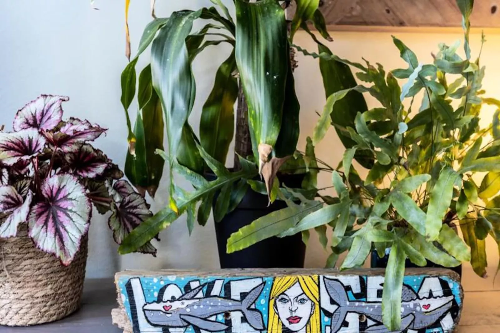 Casa Skip-Niet-getagd