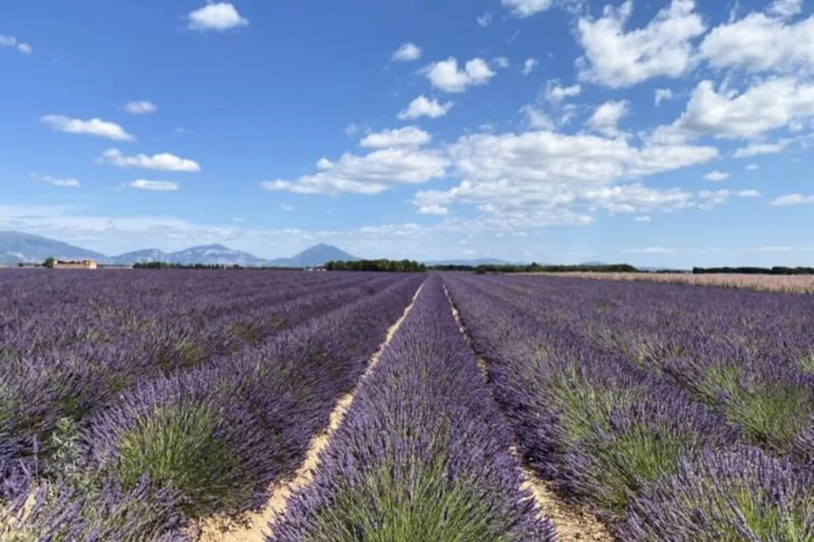 04b4 : Beau Studio Dans Un Mas Proven&ccedil;al - Piscine-Niet-getagd